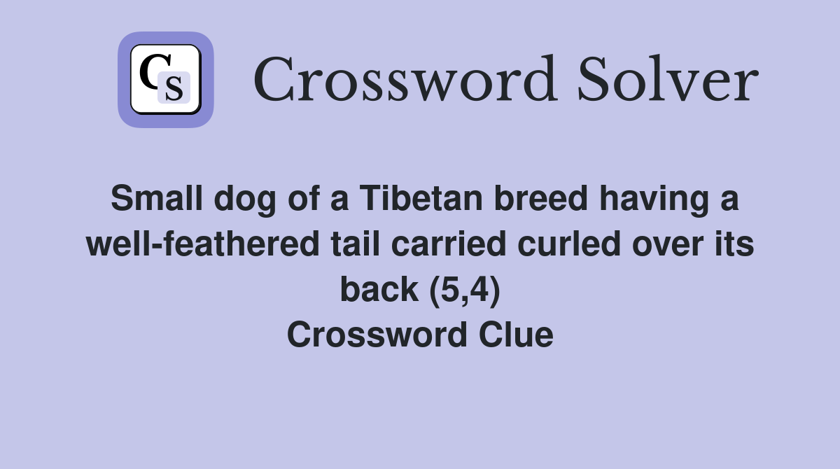 Small dog of a Tibetan breed having a wellfeathered tail carried